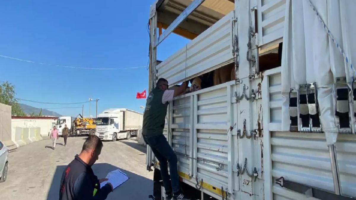 Kurbanlık Hayvan Denetimleri Artırıldı