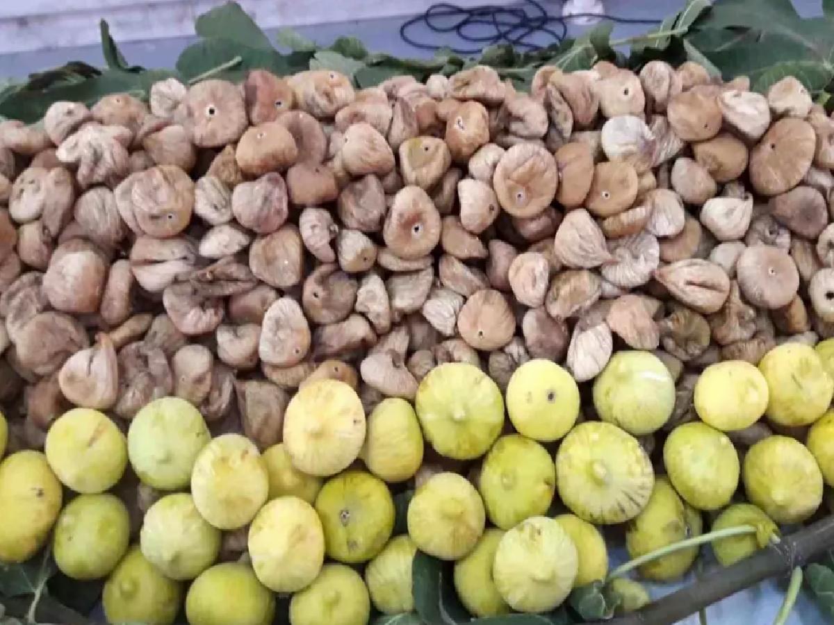 Kuru İncirde Aflatoksin Sorunu Çözüldü