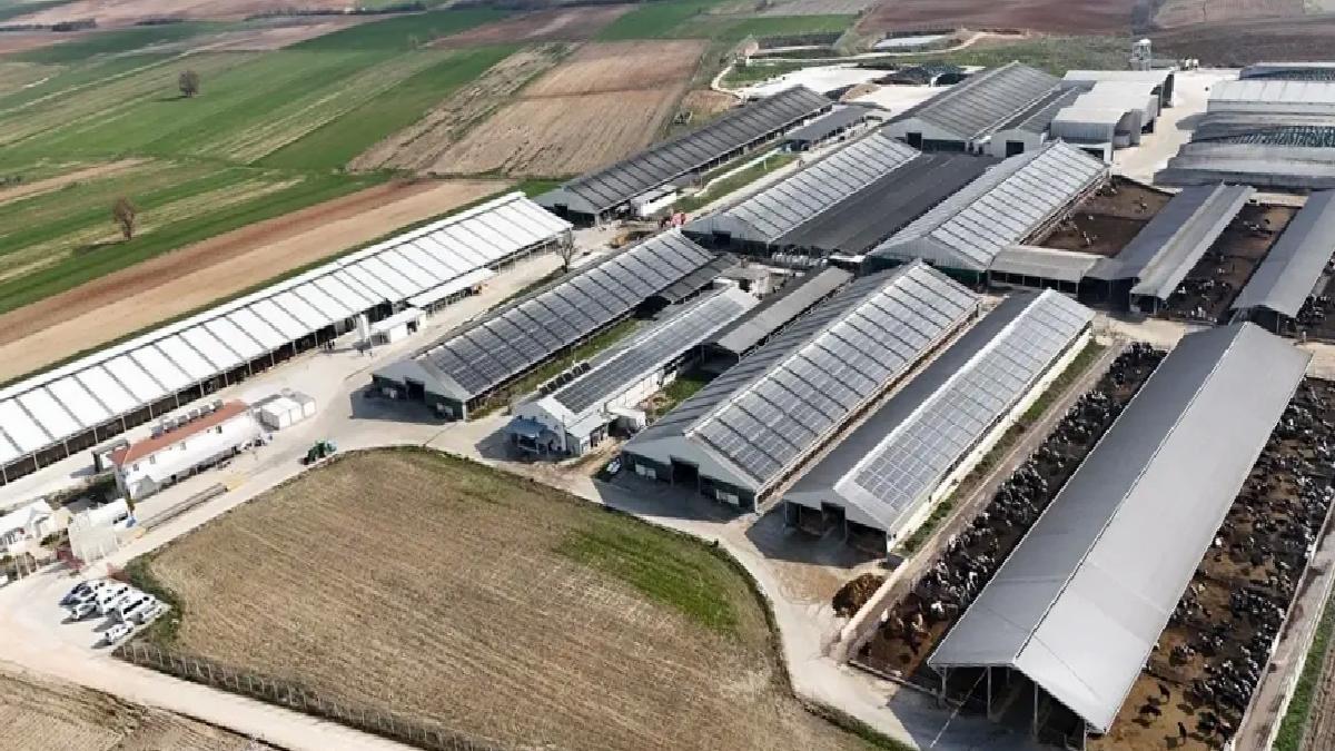 Lüleburgaz’da Süt İşletmesi Güneş Enerjisiyle Tasarruf Sağlıyor