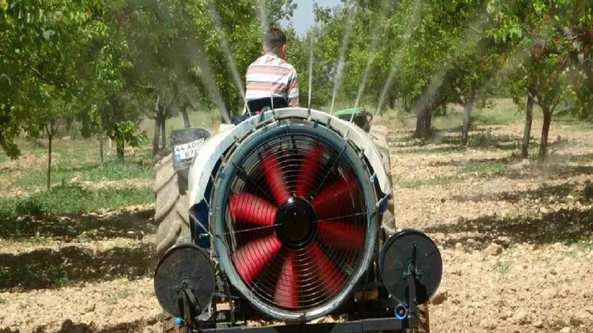 Malatya Kayısı Bahçeleri Yeniden Yeşeriyor