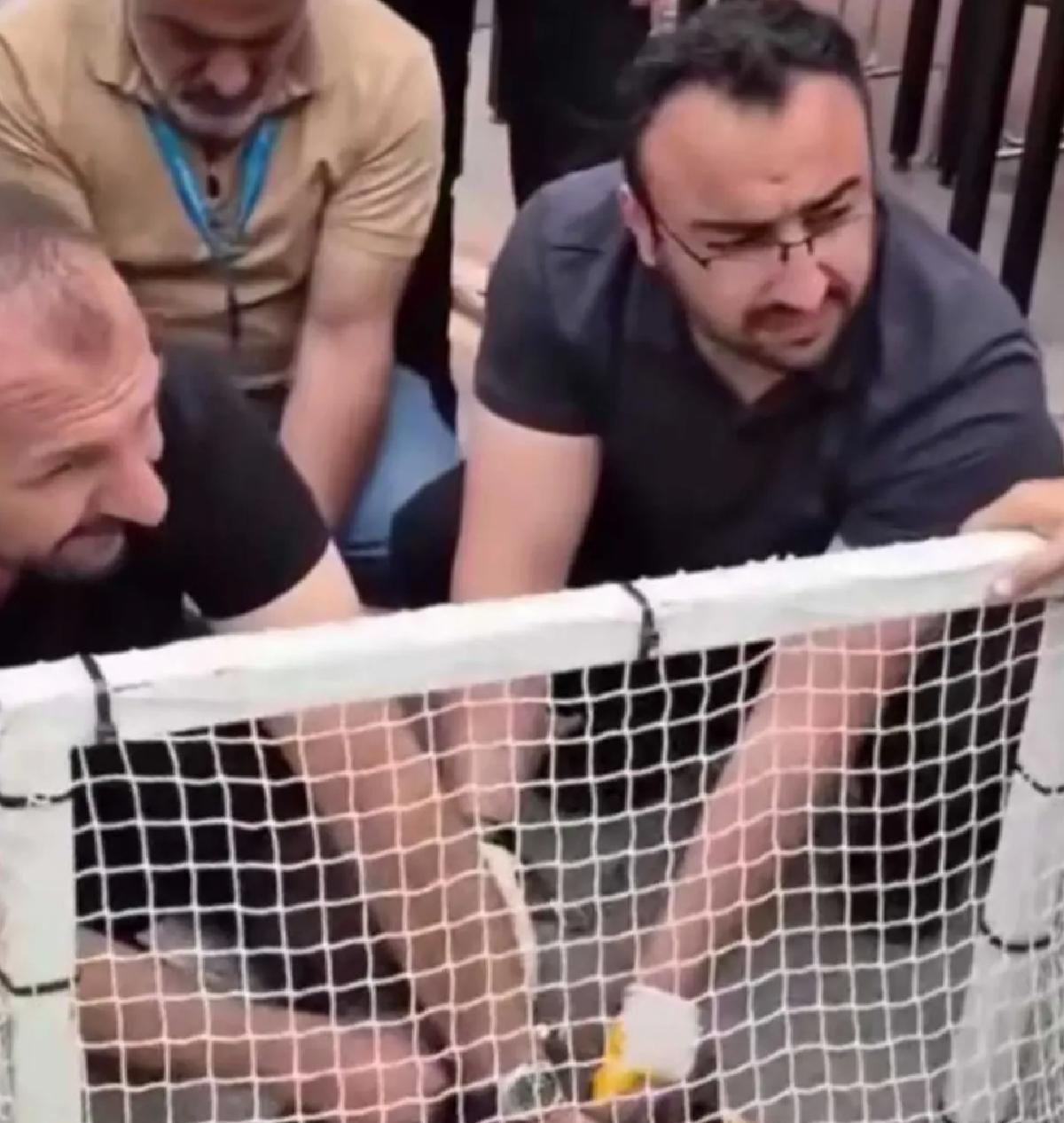 Malatya’da Pitbull Saldırısı