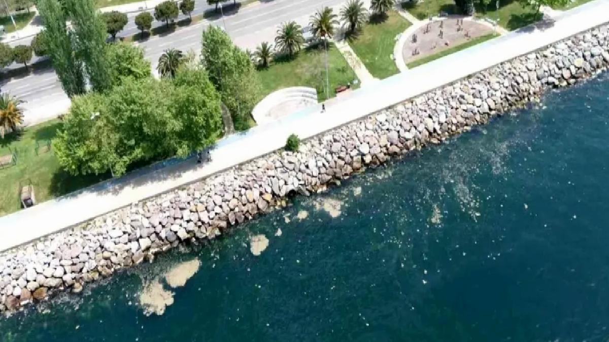 Maltepe Sahilinde Müsilaj Alarmı