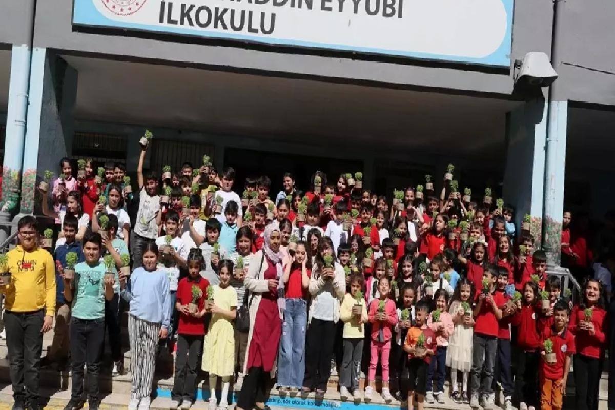 Mardin’de 60 Bin Fesleğen Dağıtımı