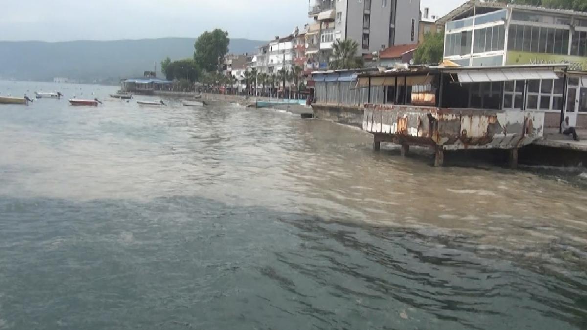 Marmara’nın turistik Gemlik körfezi müsilajla kaplandı