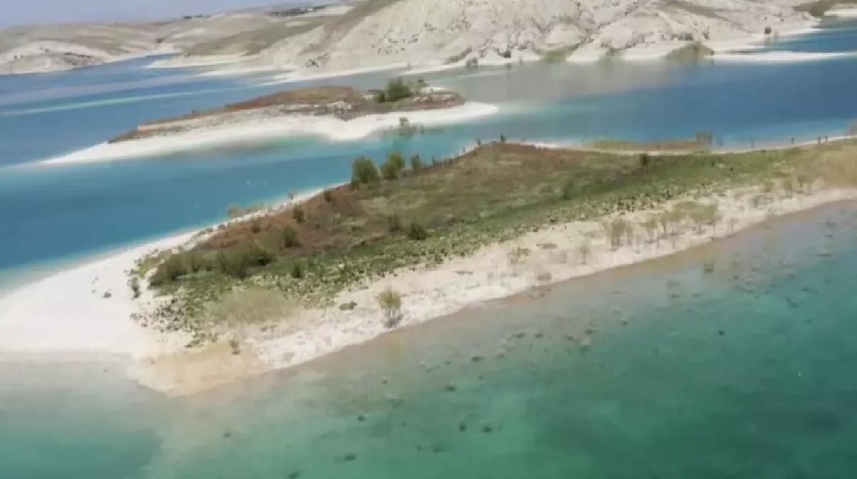Martı Adası’nda Yuvalama Dönemi