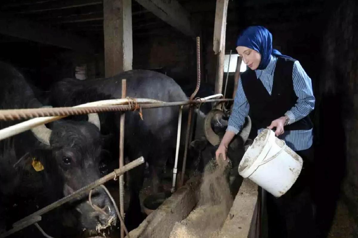 Mart’ta Süt Üretiminde Artış