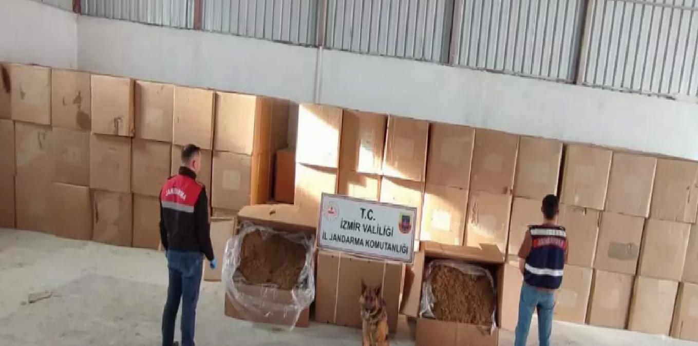 Menderes’te 6 Ton Kaçak Tütün Ele Geçirildi