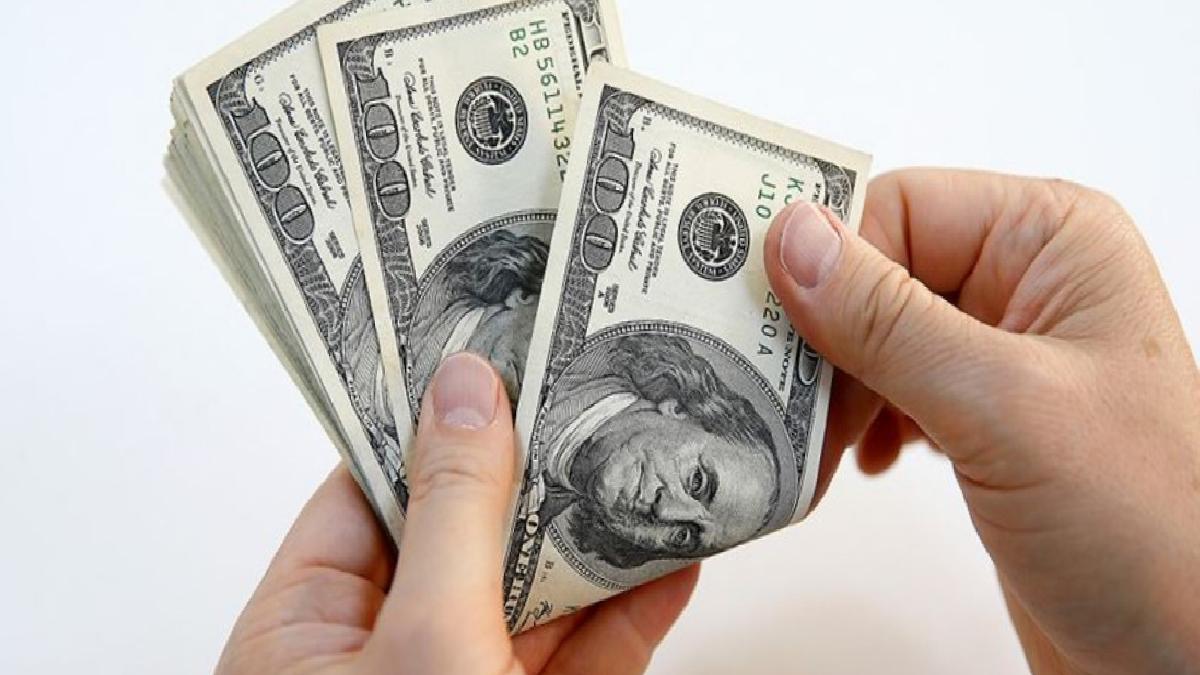 Merkez Bankası rezervleri 138 milyar 532 milyon dolar oldu