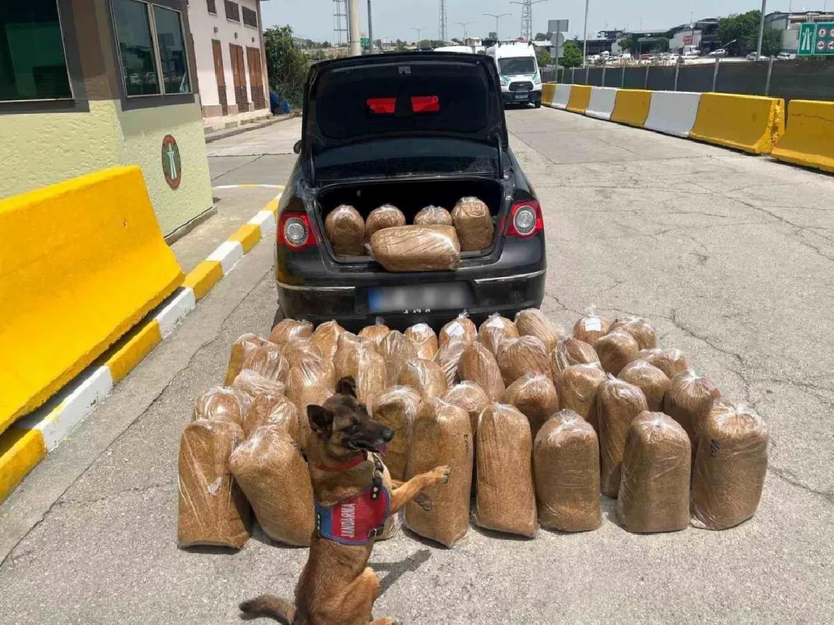 Mersin’de Kaçak Tütün ve Makaron Operasyonu