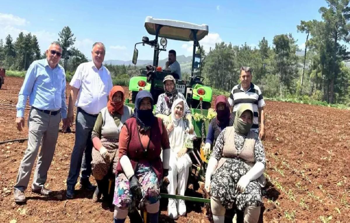 Milletvekili Sema Silkin Ün, Anneler Günü’nü Tütün Tarlasında Kutladı