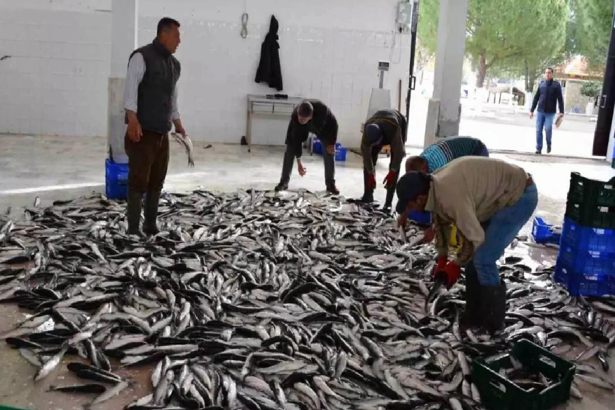 Muğla’nın Nisan İhracatı 95,2 Milyon Dolar