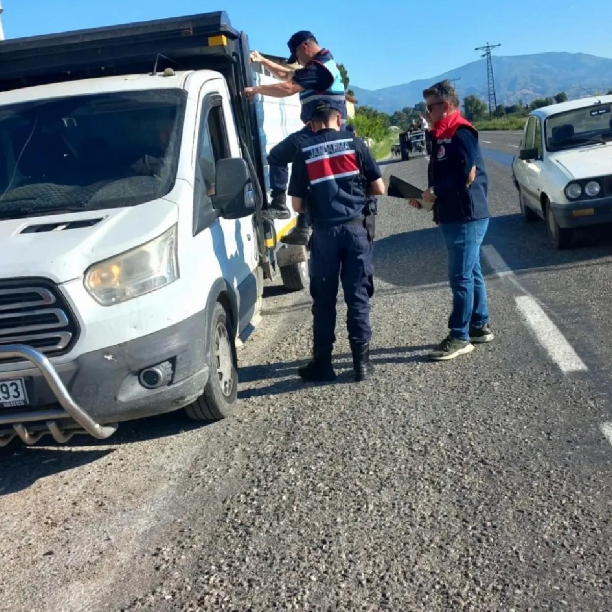 Nazilli’de Hayvan Taşıma Denetimi