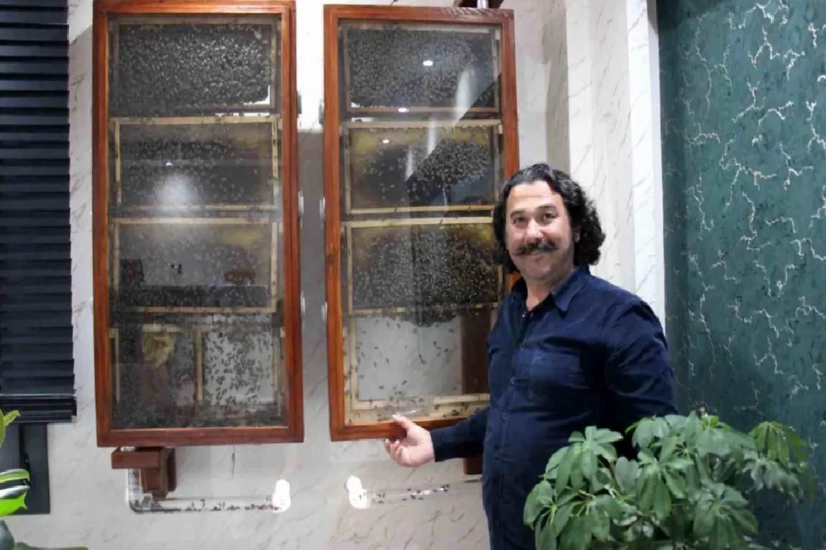 Ofisinde Arı Kovanı Kurdu