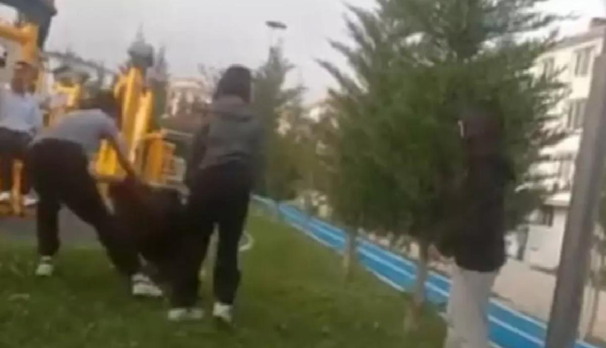 Öğrenci Parkta Darbedildi