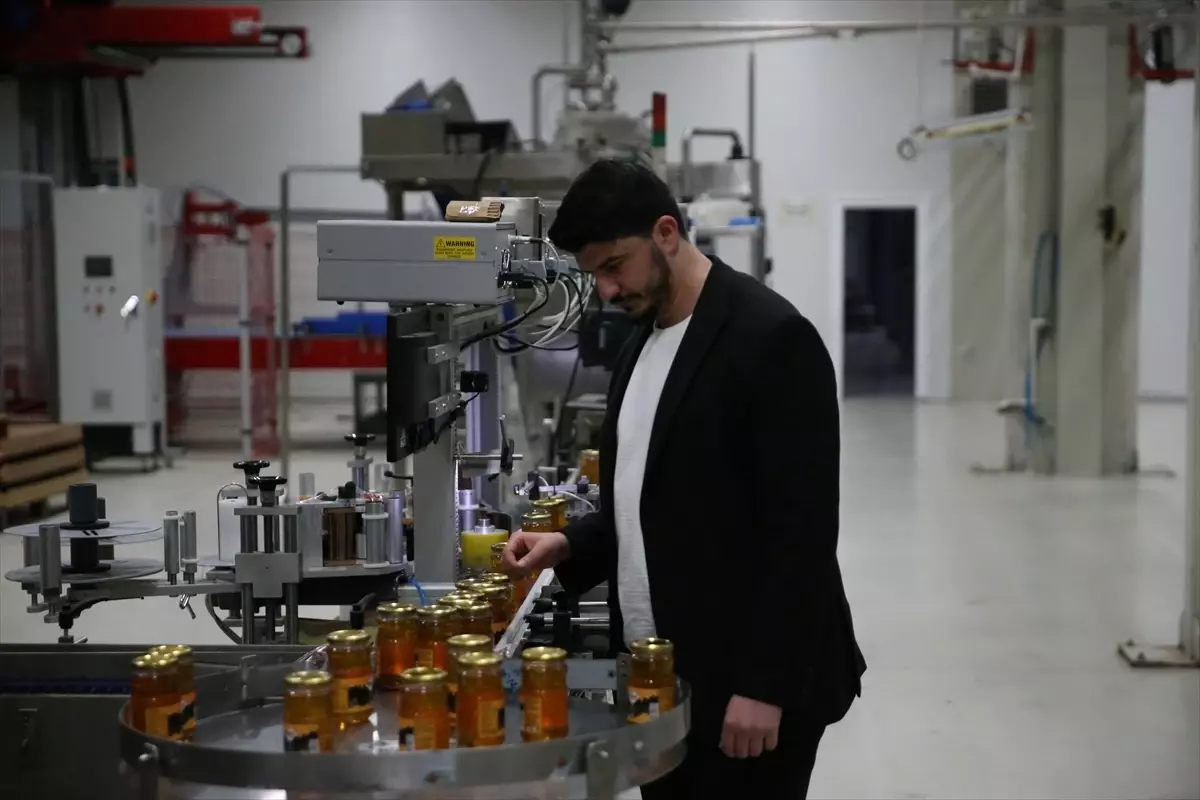 Ordu’da Bal Analiz Laboratuvarı 40 Bin Analiz Yaptı