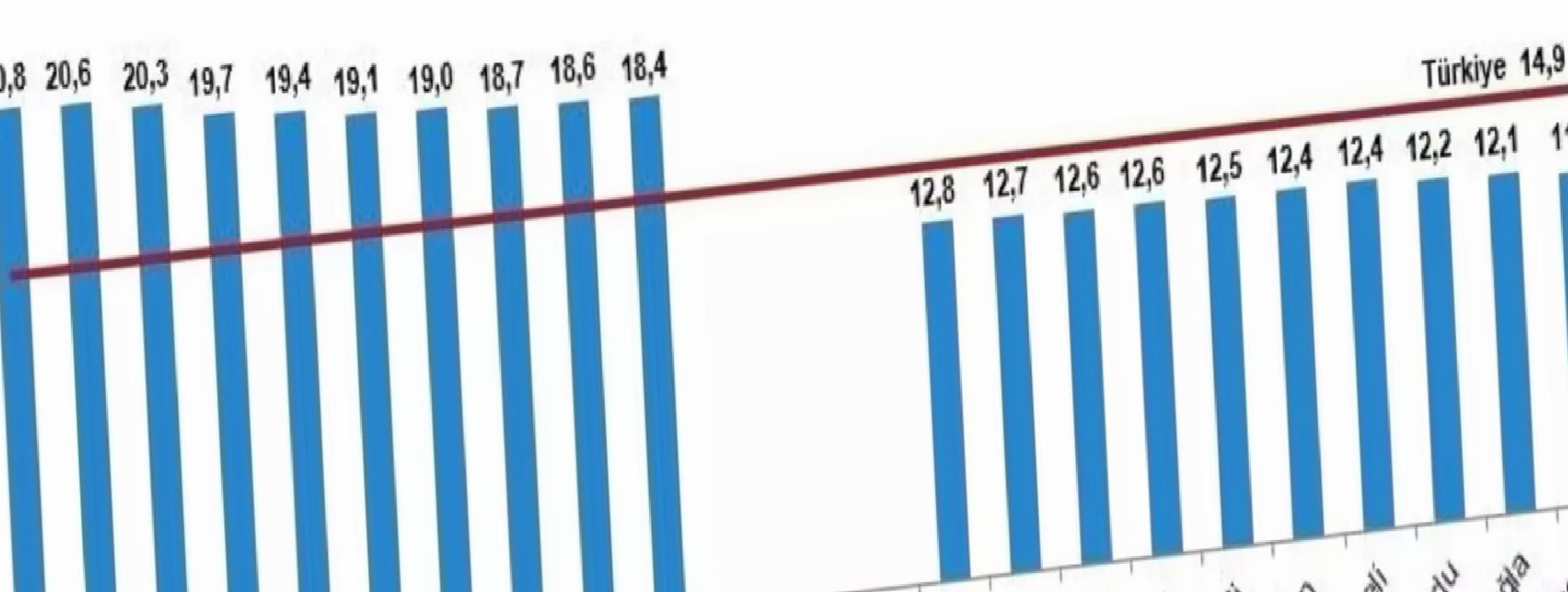 Ordu’nun Genç Nüfus Oranı Düşük