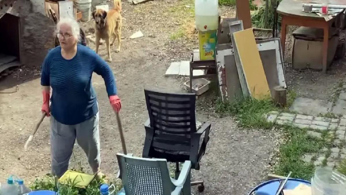 Parkta Top Tartışması