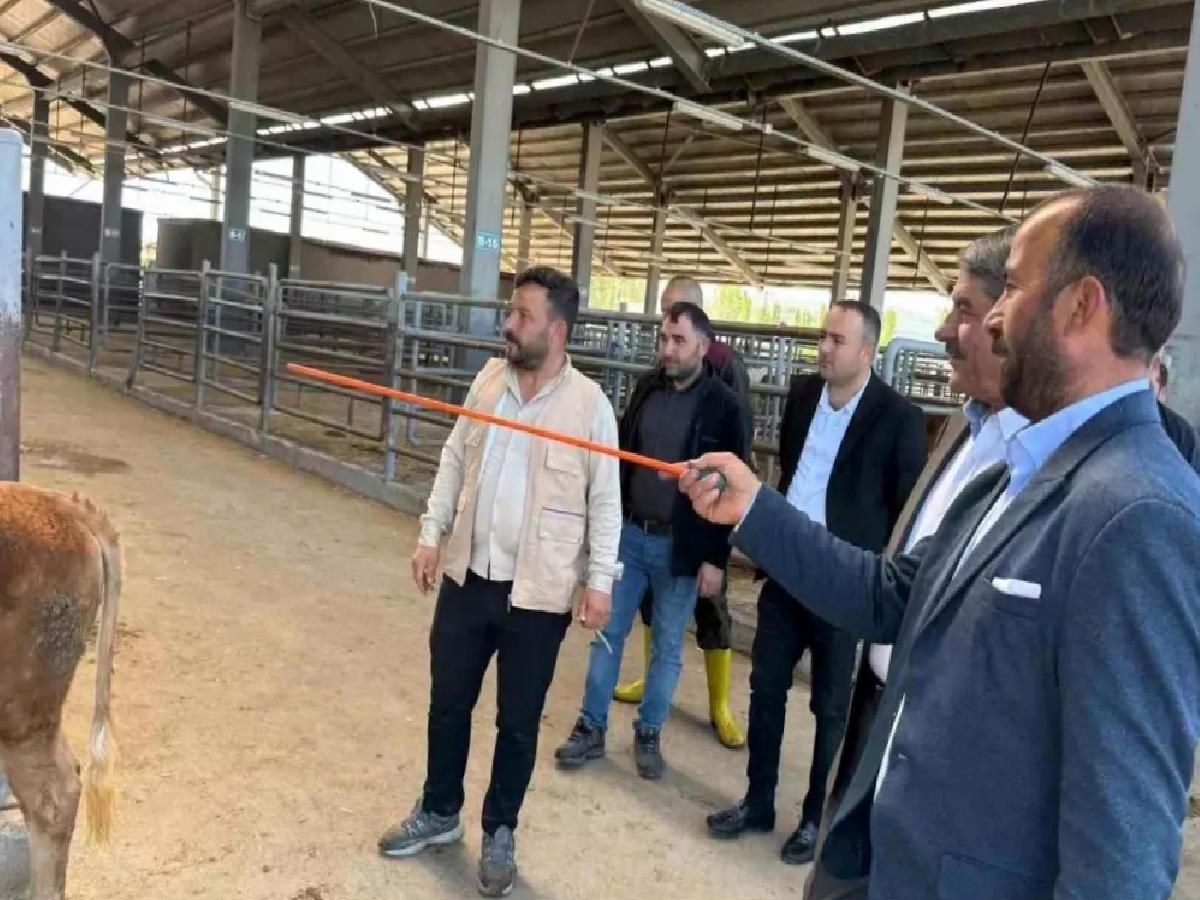 Patnos Belediye Başkanı Kurban Bayramı Hazırlıklarını İnceledi