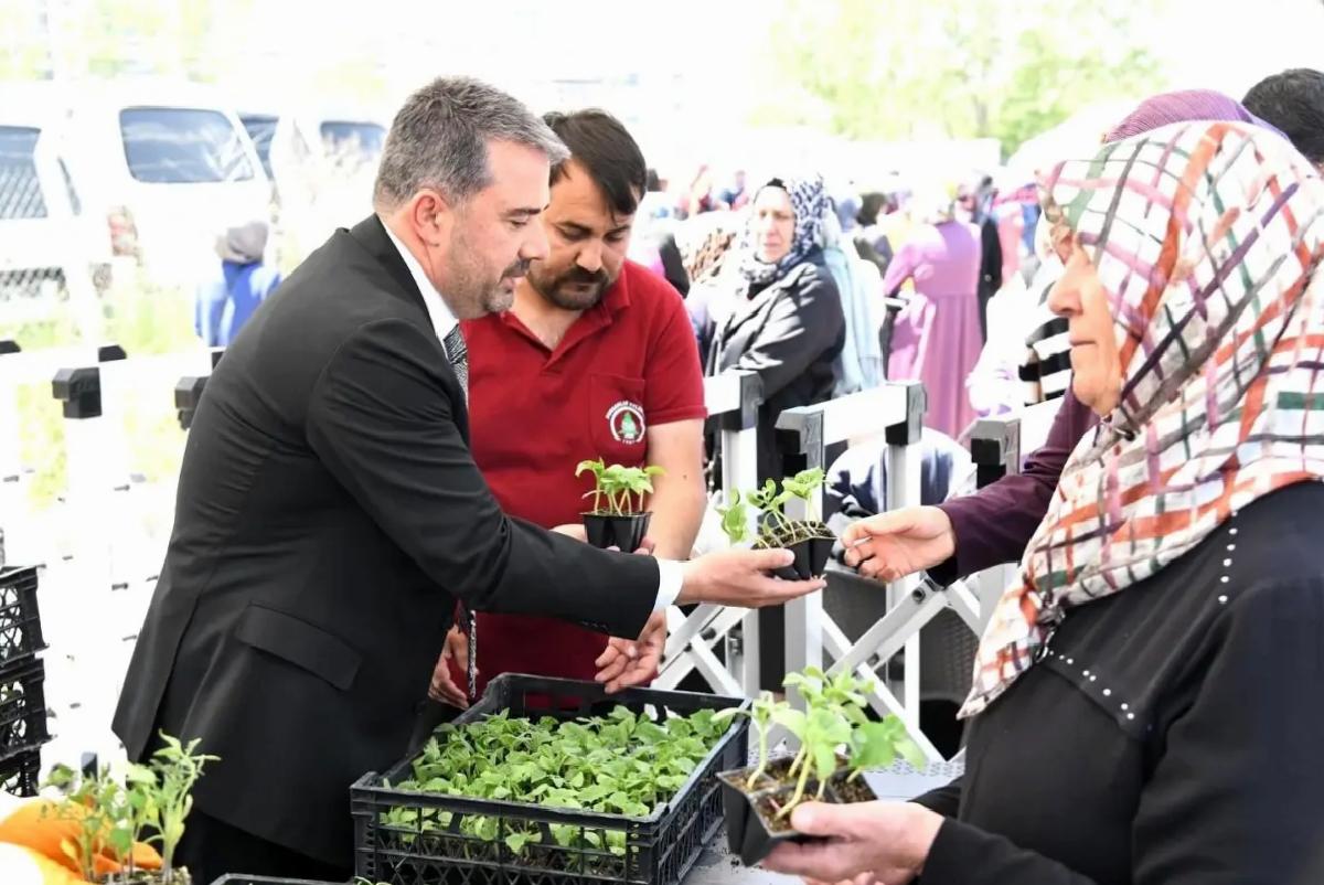 Pursaklar Belediyesi, 4. Geleneksel Ata Tohumu Fide Dağıtımını Gerçekleştirdi