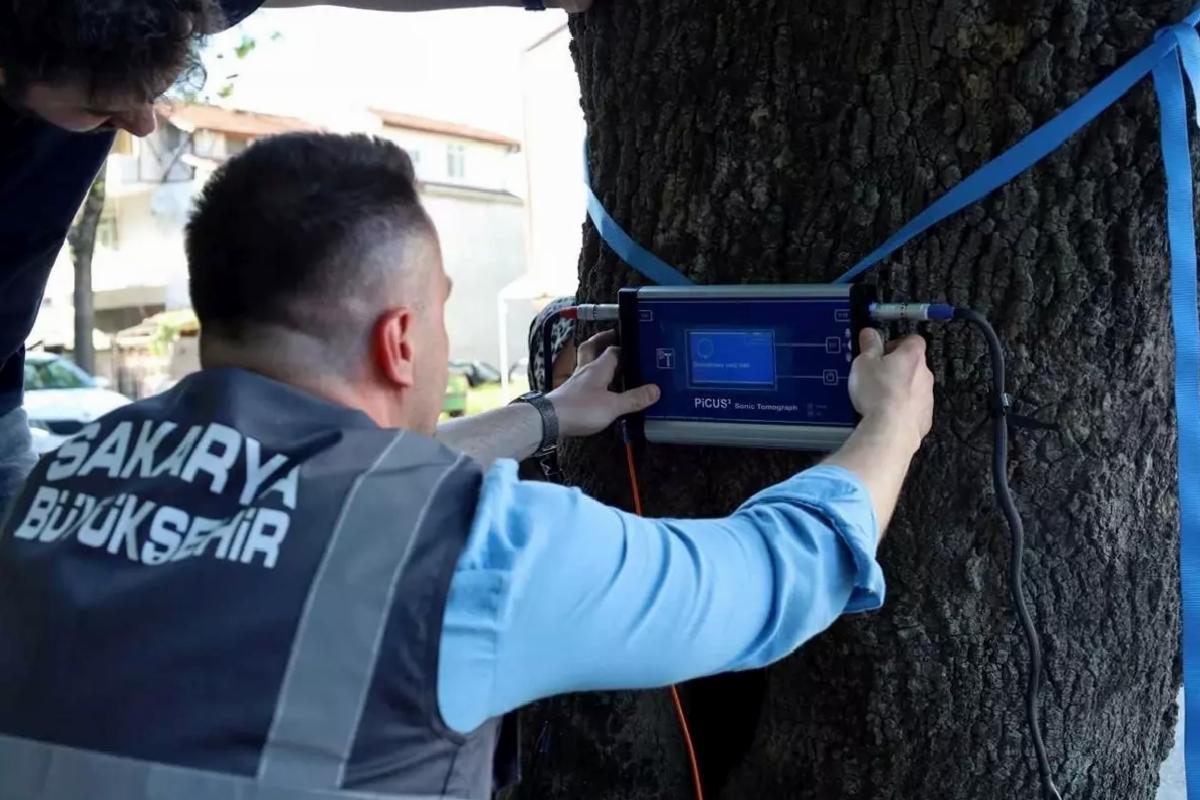 Sakarya, Ağaç Tomografi Cihazı Edindi