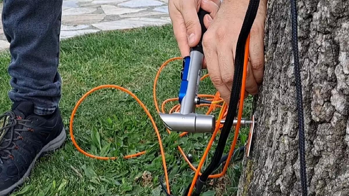 Sakarya’da Ağaç Sağlığı Akustik Tomografi ile İzleniyor