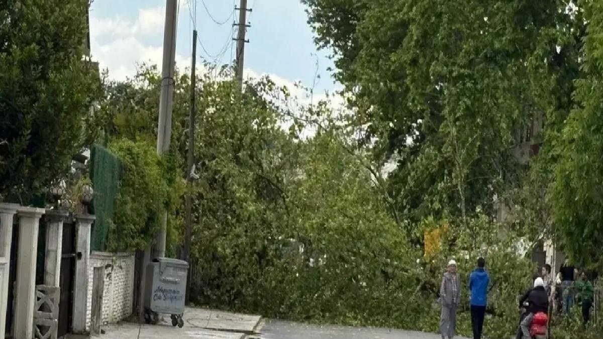Sakarya’da Fırtına ve Dolu Hayatı Vurdu