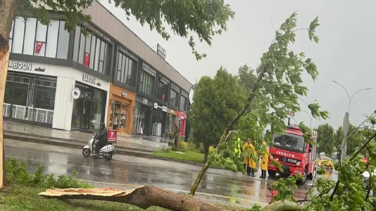 Sakarya’da İki Mevsim Bir Arada