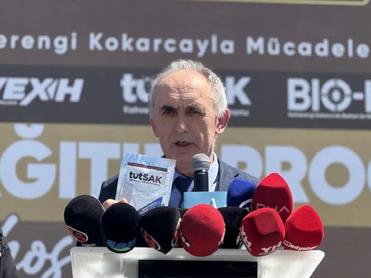 Sakarya’da Kahverengi Kokarca İle Mücadele