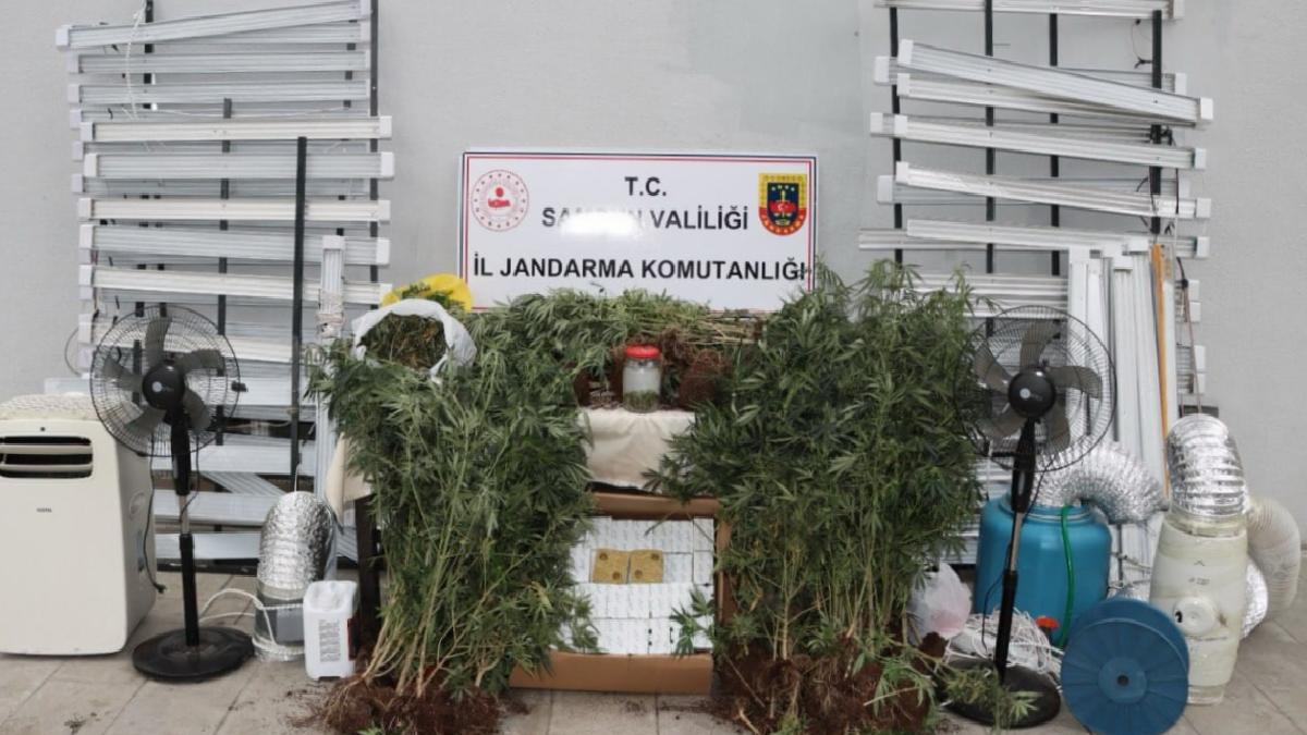 Samsun’da internette izlediği videolarla evini uyuşturucu serasına çevirdi