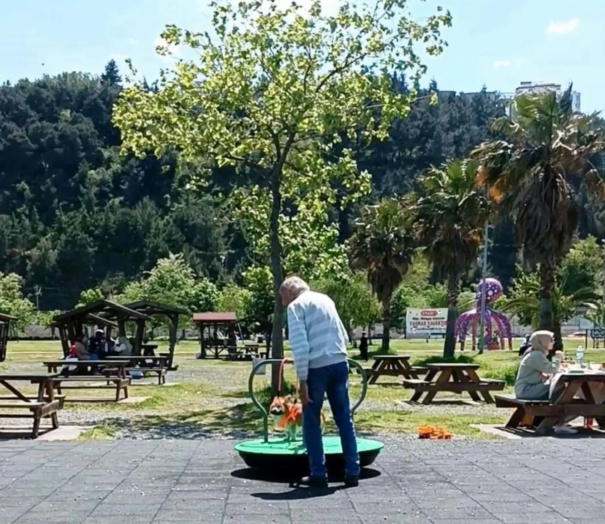Samsun’da Köpek Parkta Eğlendi