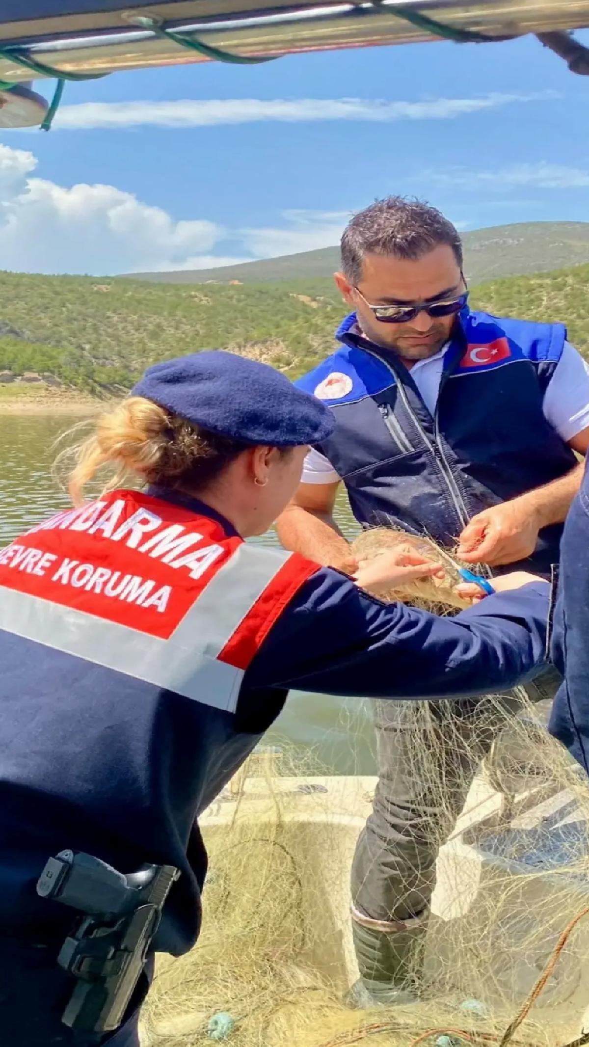 Samsun’da Takılı Balıklar Kurtarıldı