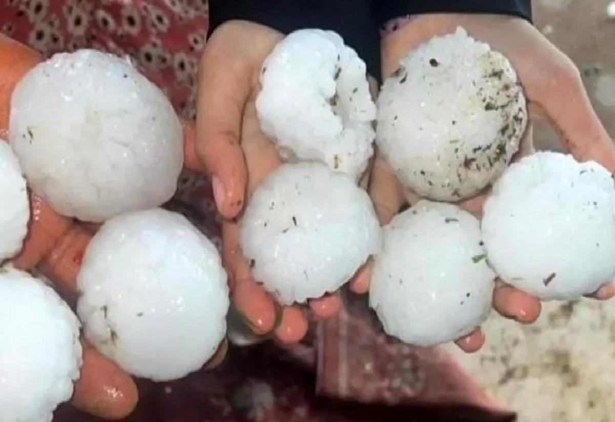 Şanlıurfa’da Dolu Zarar Tespiti