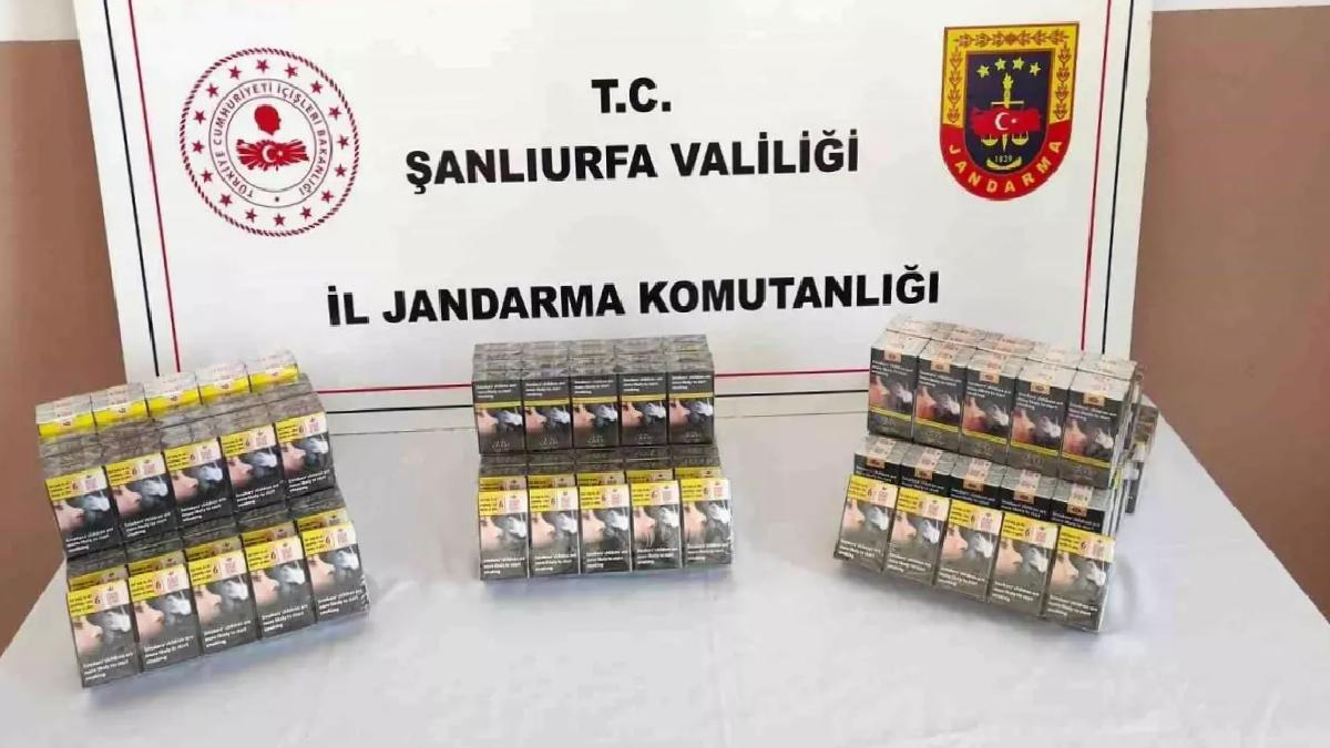 Şanlıurfa’da Gümrük Kaçağı Sigara Operasyonu