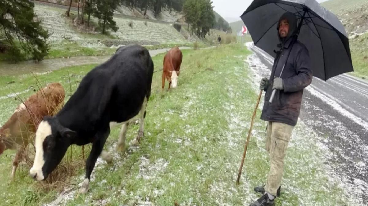 Sarıkamış’ta Dolu Etkili Oldu