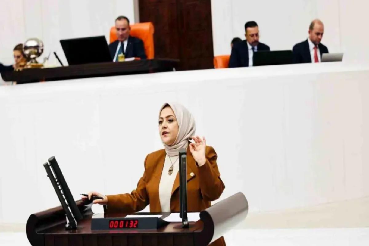 Sema Silkin Ün: Bütçe Açığı İstihdam Sorunu