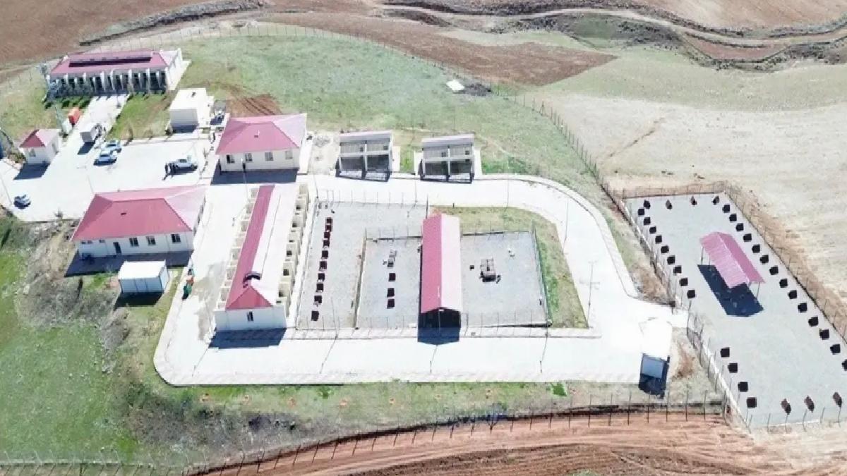 Siirt’te Sokak Hayvanlarına Destek