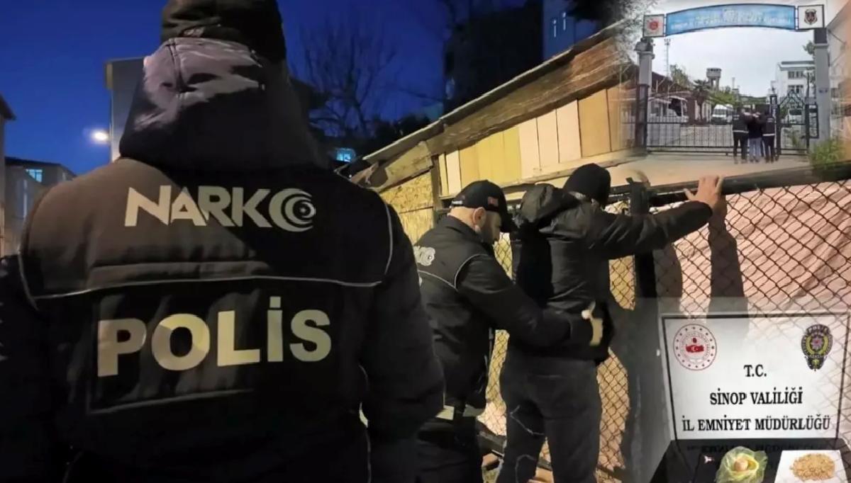 Sinop’ta Uyuşturucu ve Sahte Dömiz Operasyonu
