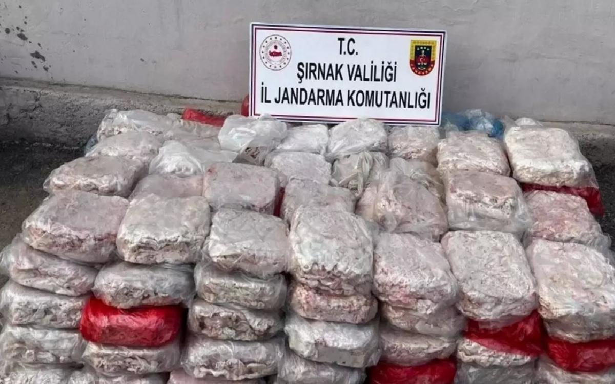 Şırnak’ta Uyuşturucu ve Kaçakçılık Operasyonu