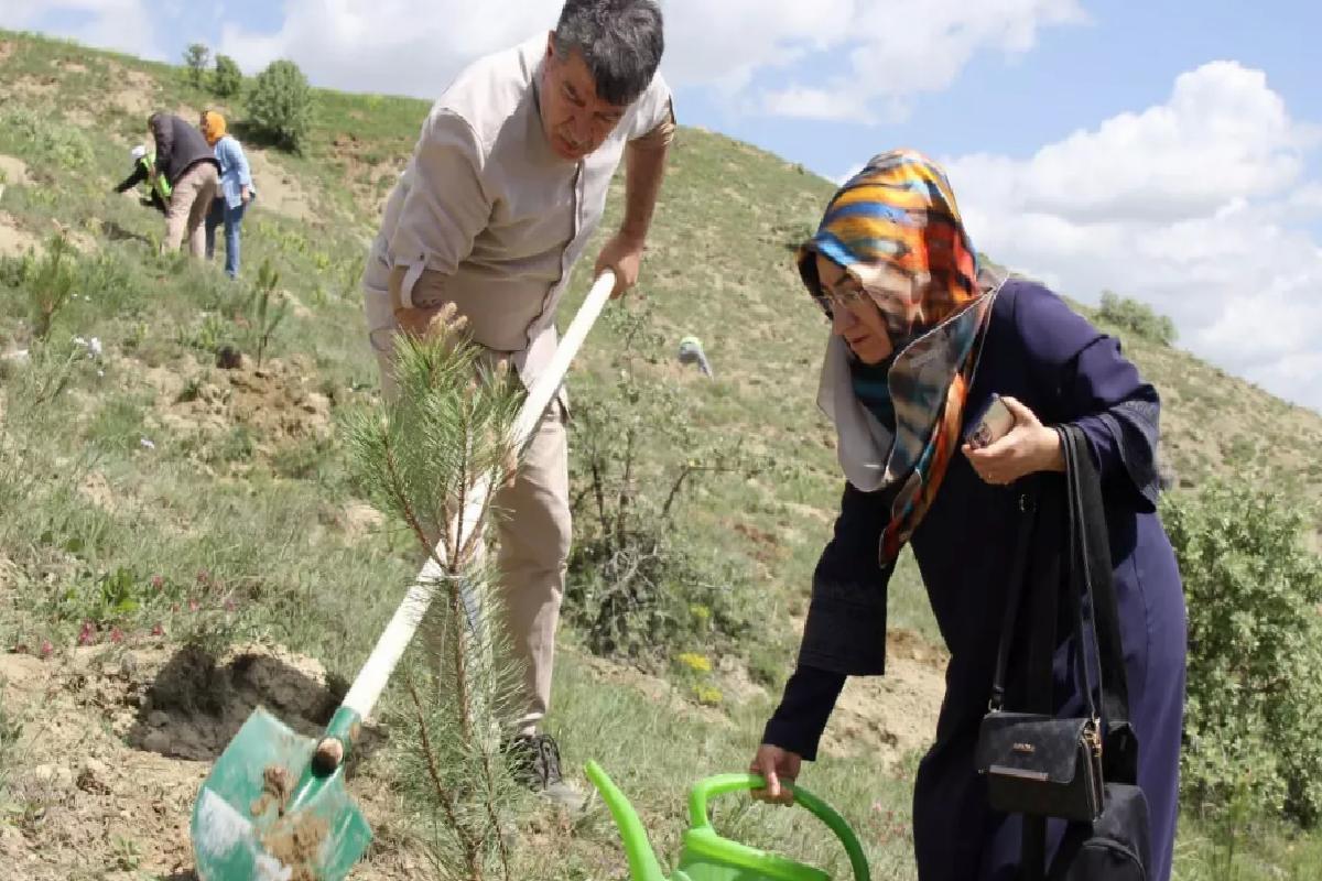 Sivas’ta ‘Vefa Ormanı’na 535 kişinin anısına fidan dikildi