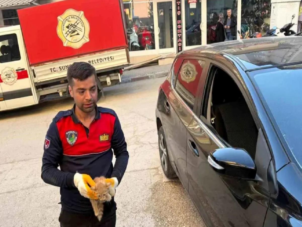 Sungurlu’da Yavru Kedi Motor Kısmından Kurtarıldı