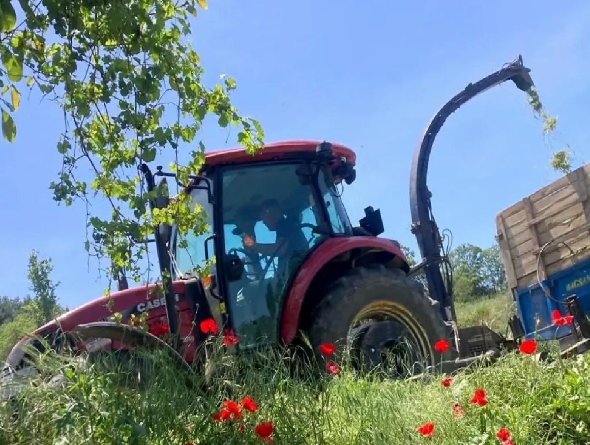 Süt Veriminde %30 Artış