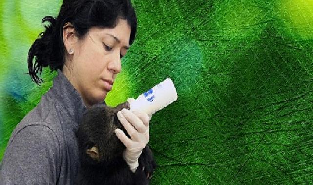 ‘Tampa’nın Sırları: Vahşi Taraf’, 5 Mayıs Pazartesi Günü 20.00’de National Geographic WILD Ekranlarında!