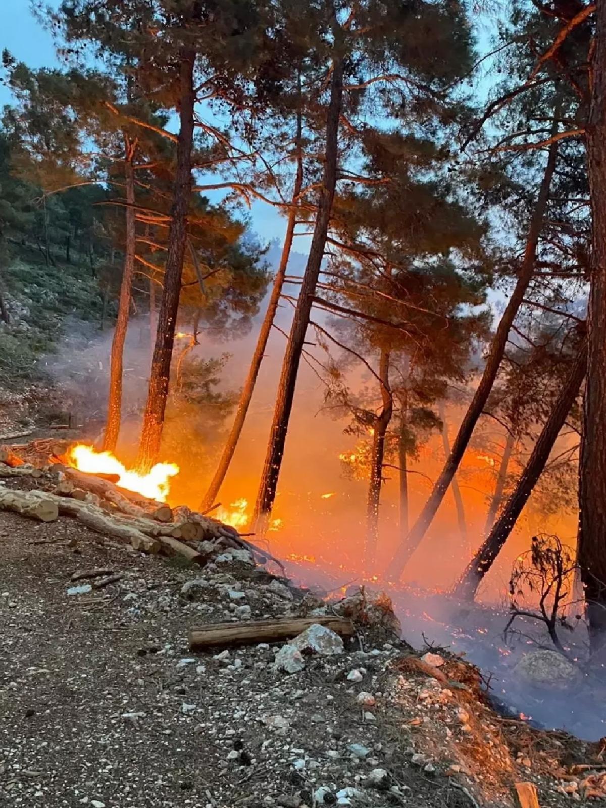 Tarsus’ta Orman Yangını Kontrol Altında