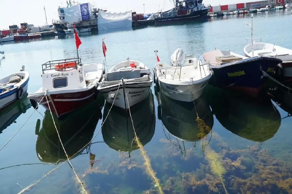 Tekirdağ’da Balıkçılar Denize Açıldı
