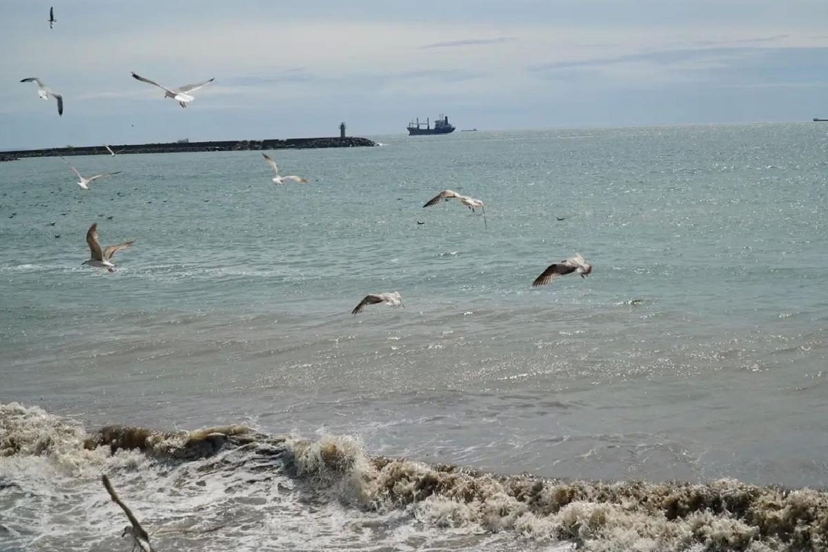 Tekirdağ’da Poyraz Denizi Durdurdu