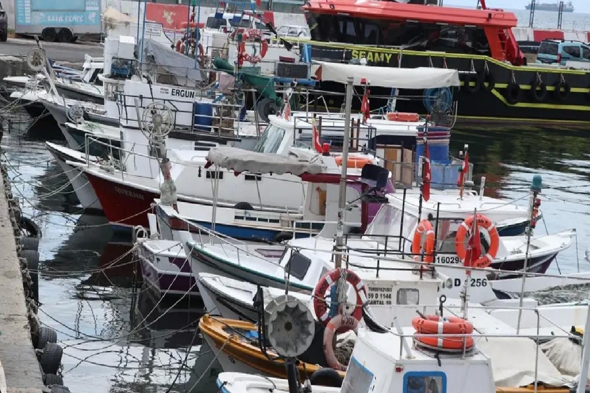 Tekirdağ’da Taze Balık Avı Devam Ediyor