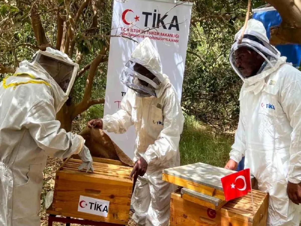TİKA, Sudan’da Arıcılığa Destek Verdi