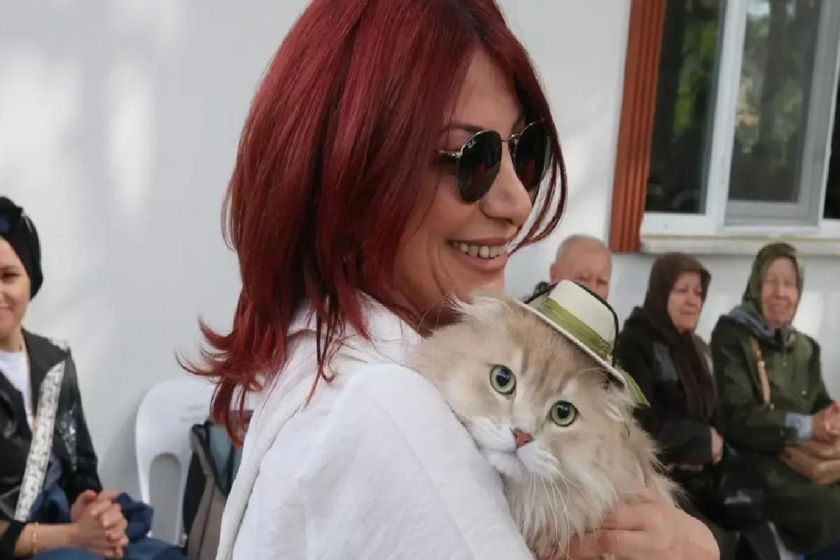 Tokat’ta Kedi Güzellik Yarışması Düzenlendi