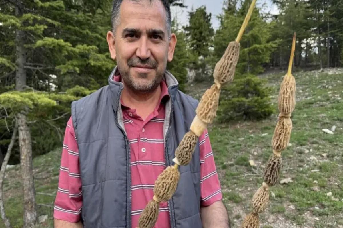 Toplaması tutku, kilosu 900 lira! Altın bulan bu kadar sevinmiyor