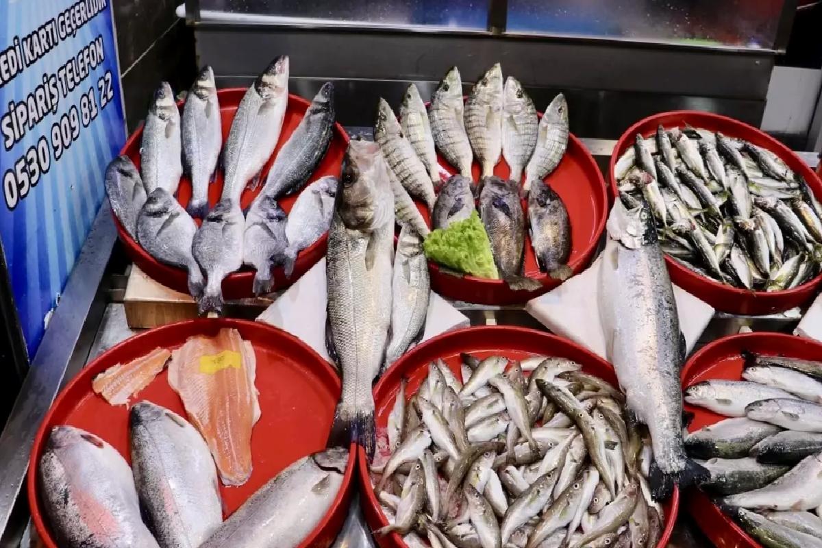 Trabzon’da İstavrit ve Mezgit Öne Çıkıyor